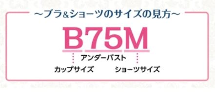 ブラ&ショーツのサイズの見方説明画像