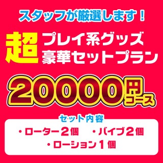 スタッフ厳選プレイ系グッズ20000円コースのアイキャッチ