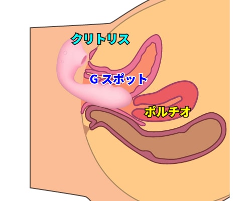 電動バイブ吸うやつ「ToyCod TaraX フェアリー」挿入図