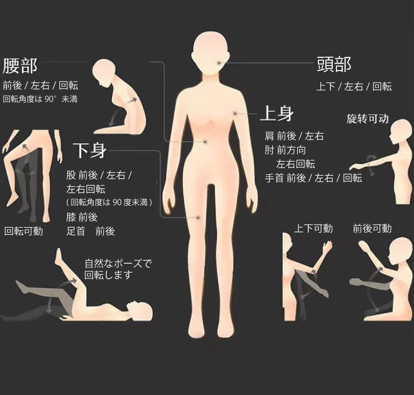 リアルドールの可動関節説明図