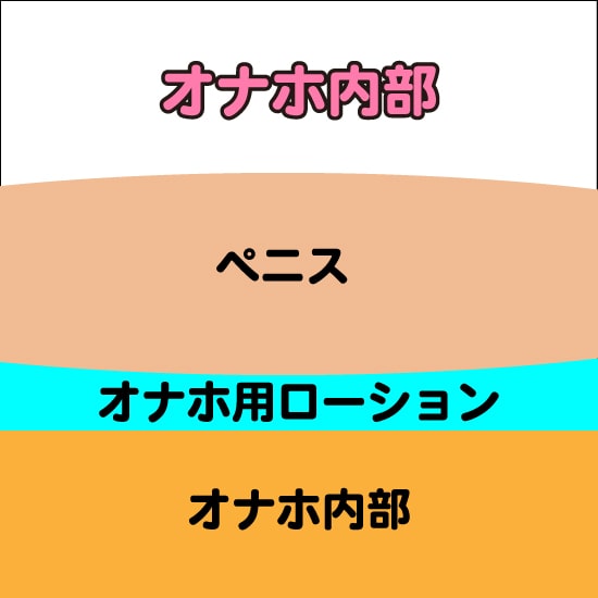 オナホ内部の層説明画像