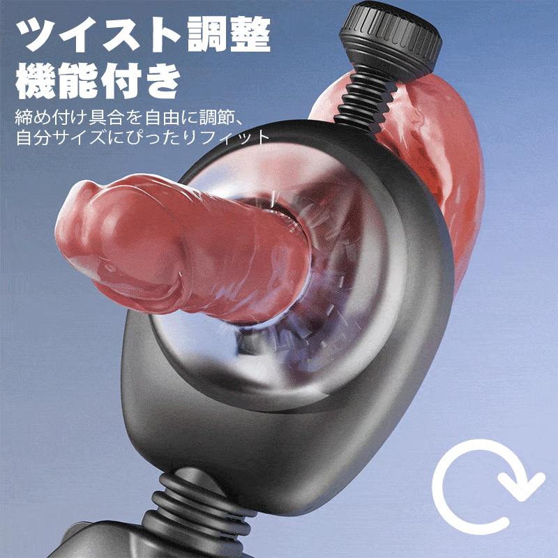 ストラップ式 リングピストン締め付け調整画像