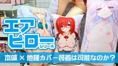 タマトイズのエアピローは違う種類のピローカバーも装着できるのか？エアドール（抱き枕）を徹底解説！【エアピローおすすめ】