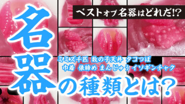 名器オナホの種類。名器オナホとは？名器と呼ばれるオナホールは本当に気持ち良いのか？【オナホ名器】