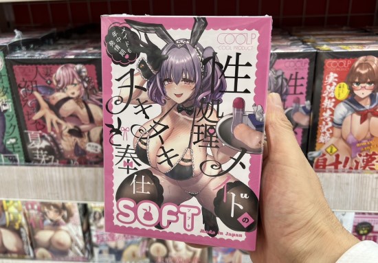 性処理メイドのヌキヌキご奉仕 ソフトの商品画像