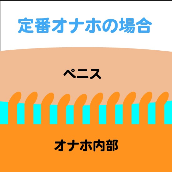 スタンダードオナホの刺激解説画像