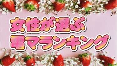 電マランキングのバナー