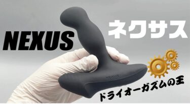 NEXUS画像