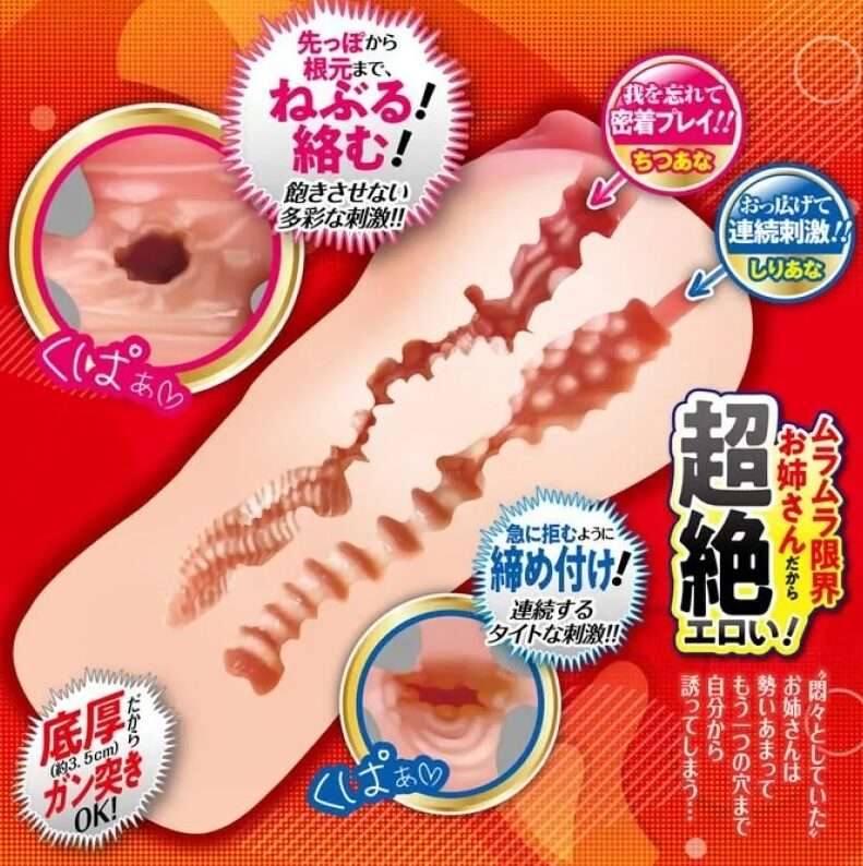 内部の構造