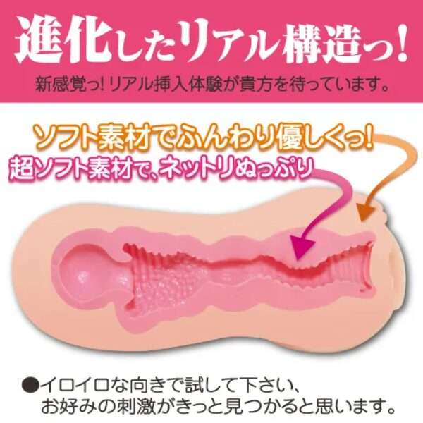 セブンティーンエボリューション