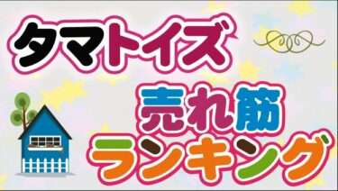 タマトイズ人気オナホ！タマトイズのおすすめオナホランキング！人気の売れ筋オナホールを厳選！【タマトイズオナホ】