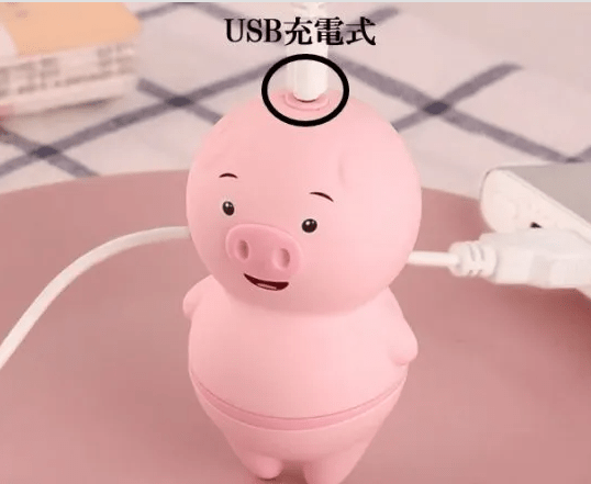 USB充電可能です
