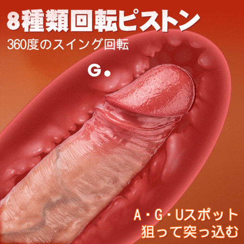 8種類の回転ピストン!